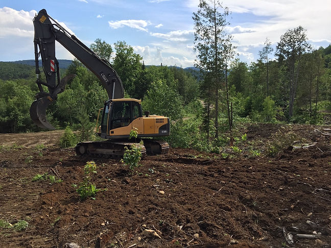 2e6a5e_75997e2d5b7344c5979874276297afc0~mv2